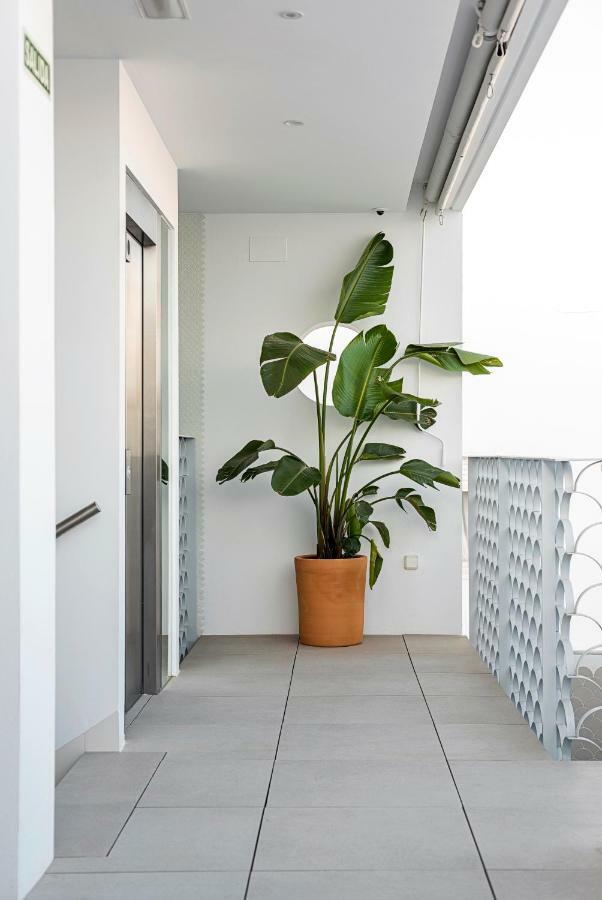 Apartamentos Y Estudios Centricos Conil Home Suite Conil De La Frontera Exterior foto